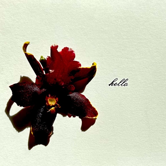 Small Wooden Box with Painted Rose Malling Design - Picture 8 of 8